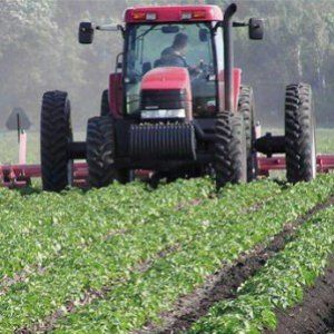 Lavoro, i giovani scoprono l'agricoltura: in arrivo 160 milioni