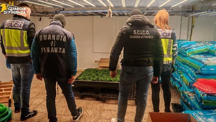 Traffico di droga fra Catania e Barcellona: 12 arresti e sequestri per un milione