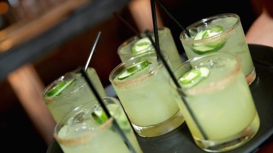 I cocktail del mito: dal Martini al Negroni, il meglio del bere miscelato