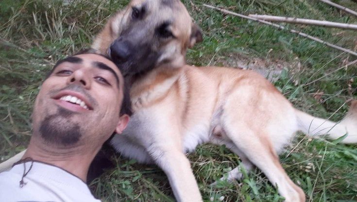 "Venite, abbiamo ritrovato il cane che avevevate perso". Ma era solo uno scherzo per avere più seguaci su TikTok