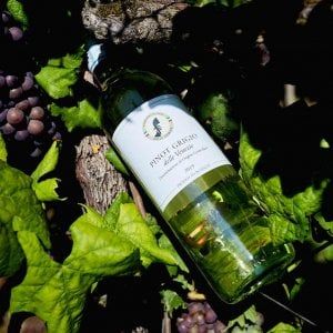 Pinot Grigio delle Venezie in crescita anche nel 2020