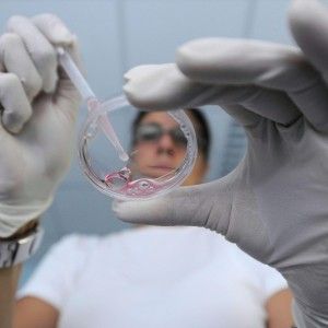 Elena e Alessandro: "Il nostro dolore non &egrave; stato inutile"
