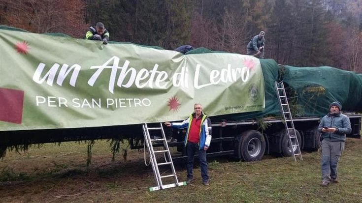 Ledro, tagliato l’abete di Natale del Papa. Il sindaco: “Scortato dai militari durante la notte”
