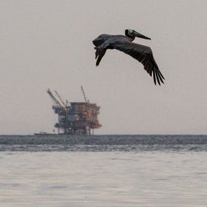 Il ritorno del greggio dall'Iran: partita la prima petroliera