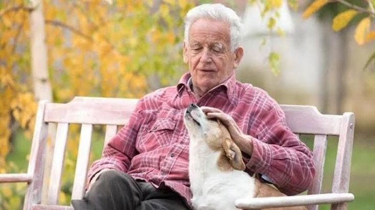 Animali domestici, compagni di un’Italia sempre più sola, ma crescono i costi per mantenerli