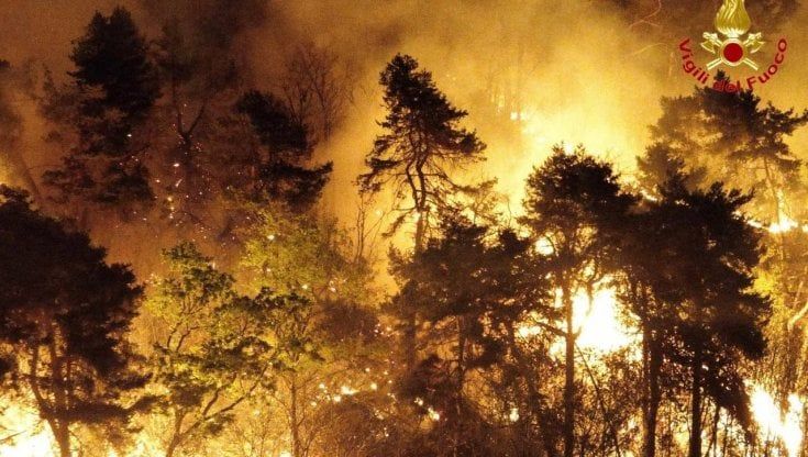 Incendio nei boschi di San Quirico ad Angera, il sindaco firma l'ordinanza: "Non salite sulla collina, ci sono ancora piccoli focolai"