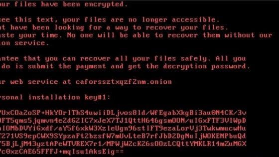 Bad Rabbit, nuova minaccia: blocca i dati del pc. Colpite 200 organizzazioni, soprattutto in Russia e Ucraina