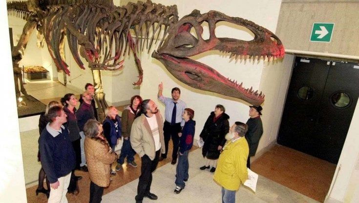 Museo delle Scienze di Torino, la Regione annuncia: "Riaprirà a settembre"