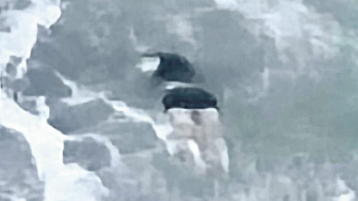 Migranti, quei brandelli di corpi restituiti dal mare sulla costa degli dei