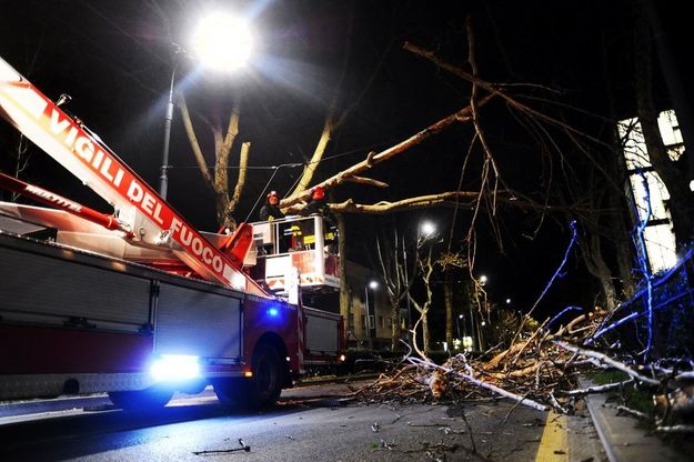 Il vento spazza Milano: albero cade in viale Isonzo sulla linea del filobus