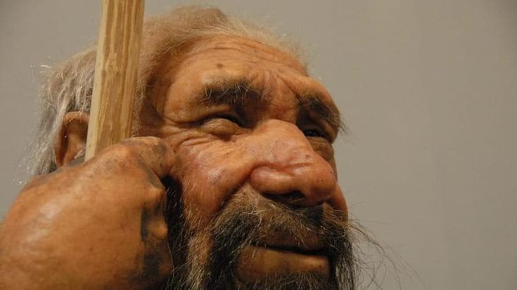 Che fascino quel Neanderthal. Così ha trasmesso i suoi geni alle donne Sapiens