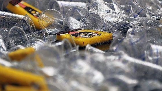 I pasti del runner, decalogo per il nuovo anno