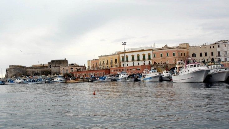 Gallipoli, picchiato con un bastone da parcheggiatore abusivo durante la festa patronale: "Dovevo passare con il kayak per scortare la Madonna in mare"