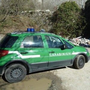 Taranto, raccolgono funghi velenosi: due persone salvate da un controllo dei forestali