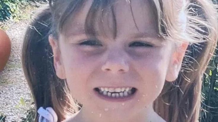 Francia, trovato in un bosco il corpo di una bambina scomparsa. Arrestato sospettato: è il compagno della madre