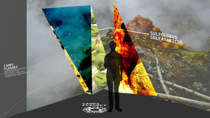 Pianeta Terra: la sfida di "Futuro Remoto"
