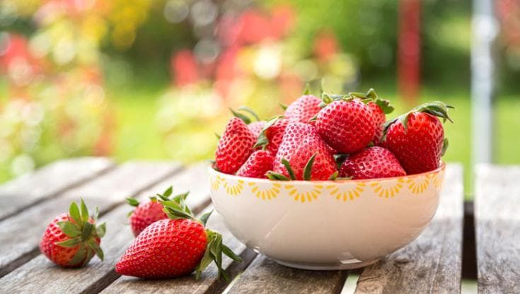 Alla ricerca della fragola perfetta: ecco come ogni varietà ha il suo sapore