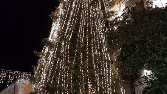 Potenza, a due giorni dal Natale il Comune addobba un albero al centro storico