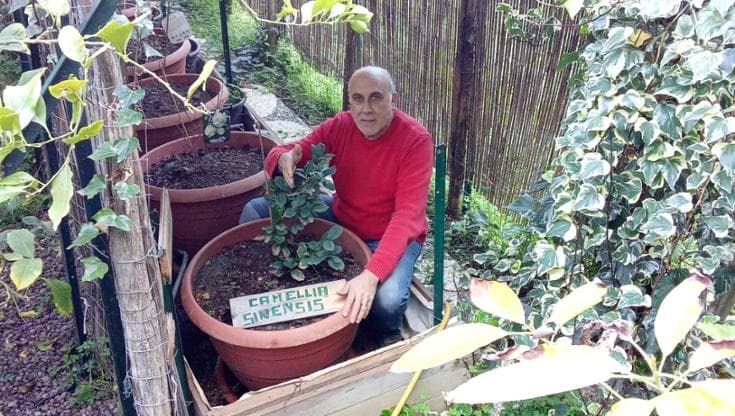 Il maestro del tè siciliano vive a Raddusa: “Ho servito lo scià e la Thatcher. Adesso lo produco”
