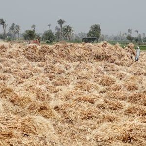 Fondi Ue, sull'agricoltura a rischio 2,7 miliardi