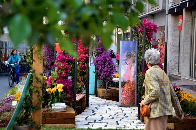 Bari, il centro è un giardino: in via Argiro esplode la primavera