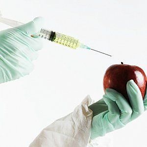 MIPAAF: 21 milioni di euro per le biotecnologie sostenibili 