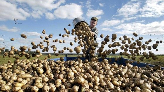 La lotta allo spreco di cibo si fa "Tutti su per terra"
