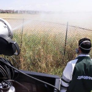 Chikungunya, gli esperti Ue "alto rischio epidemia, ecco le precauzioni"