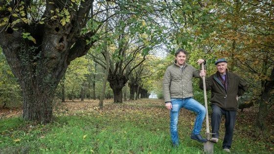 Parma, il bosco che cresce a San Prospero 