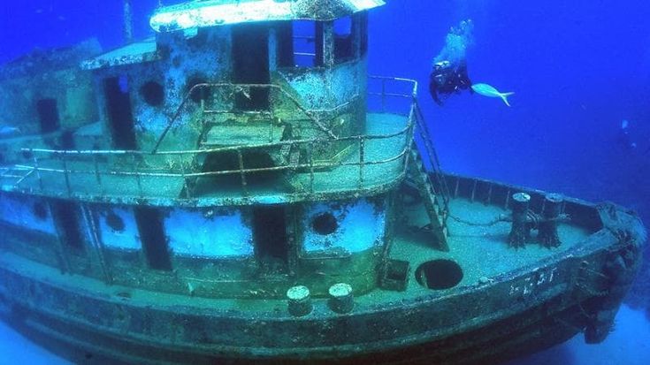 Una settimana immersi tra relitti e coralli. Wreck Week, alle British Virgin Islands l’eden dei sub