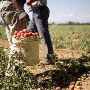 Regolarizzazioni, le Acli: "Migliaia di pratiche gestite, ma poca chiarezza"