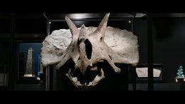 'Dinosaurs', il doc al cinema. Clip in anteprima: I signori del mondo