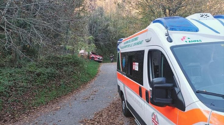 Schiacciato da un albero che stava tagliando, muore a 55 anni a Castellamonte