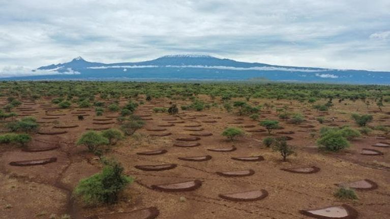 Foreste e paesaggi degradati: sappiamo come farli rinascere