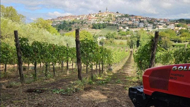 Un sorso di Irpinia da gustare al Borgodangelo