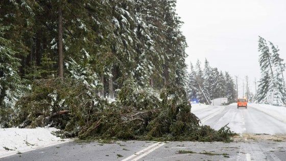 La tempesta Friederike si abbatte sul Nord Europa: nove morti tra Olanda, Belgio e Germania. Trasporti nel caos