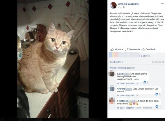 "Ciao Ginger", Bassolino dice addio al gatto su Fb