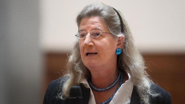 “Termini sbagliati, ma critica giusta”, non solo attacchi a Cecilie Hollberg