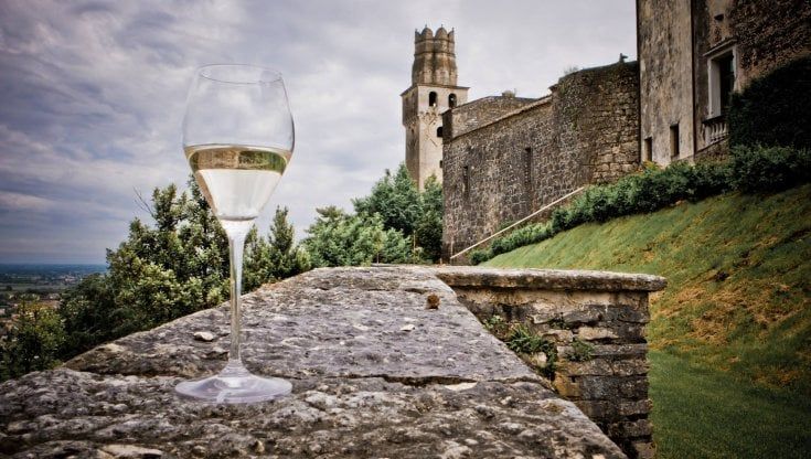 Prosecco, quelle colline dove nasce il vino italiano più venduto nel mondo 
