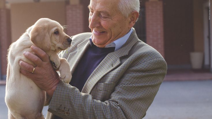 Da polli e galline al salotto buono: il re del pet food nell’alta finanza