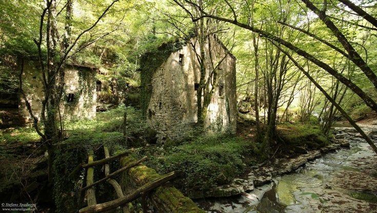 Gli antichi mestieri della Valbrevenna