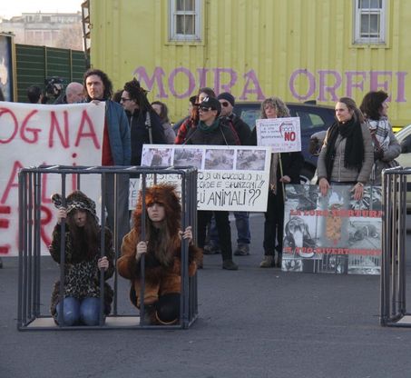 Animalisti nelle gabbie contro il circo a Firenze