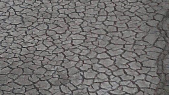 Siccità, l'Emilia-Romagna chiede lo stato di emergenza nazionale 