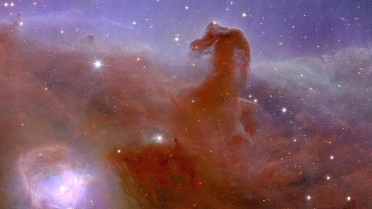 “Così è nato il nostro Euclid, il telescopio che ci permetterà di studiare la materia oscura”