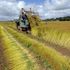 Agricoltura, l'Italia rischia di restituire 550 milioni di fondi Ue