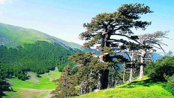 Dai parchi all'agricoltura bio: le elezioni anticipate fanno male all'ambiente