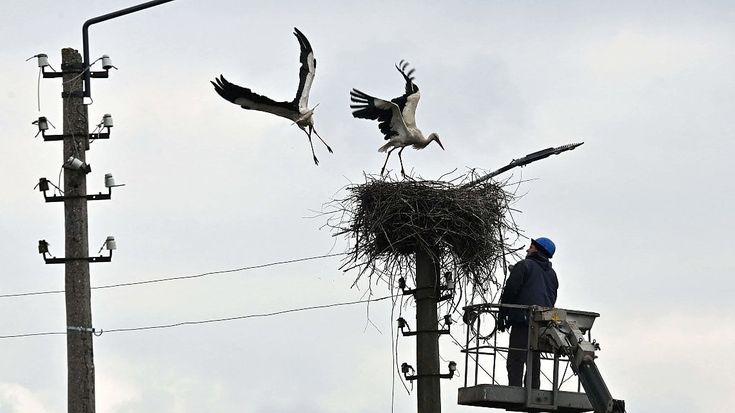Ucraina, in volo tra guerra e realtà