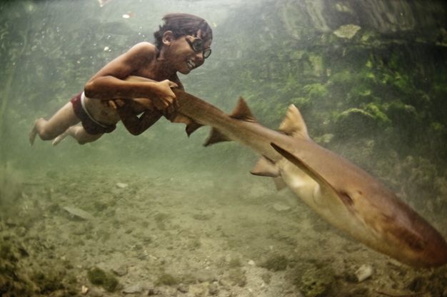 Una vita a pelo d'acqua: ecco i nomadi del mare