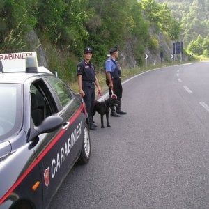 Rimini, trovato morto il cacciatore disperso. I suoi cani lo hanno vegliato per 6 giorni