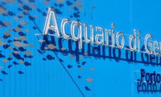 Società, cultura, spettacoli: gli appuntamenti a Genova e in Liguria